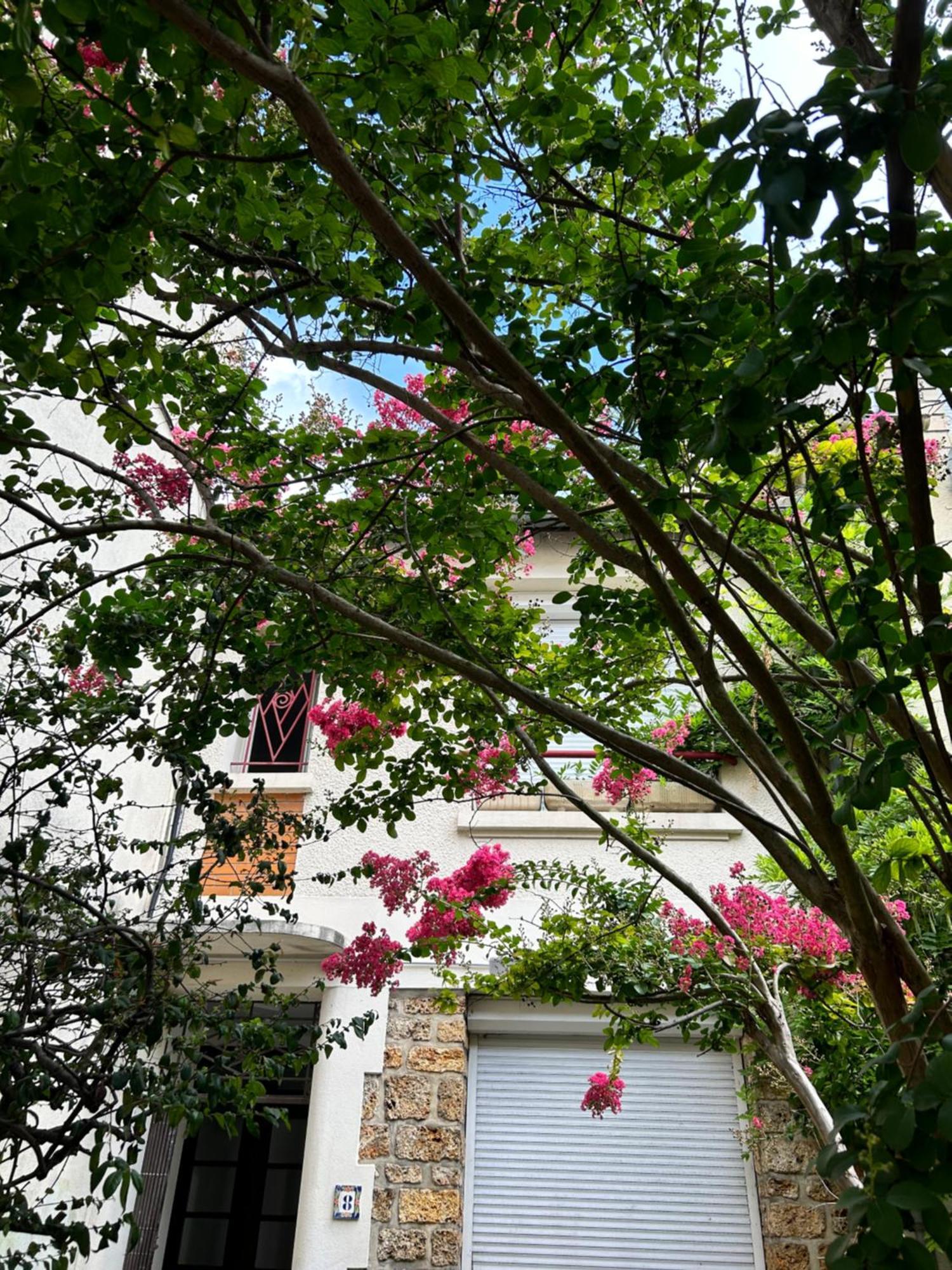 Studio 21M2 Equipe Et Meuble Centre Ville Massy 메시 외부 사진